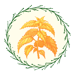 Dry Nettle Leaves